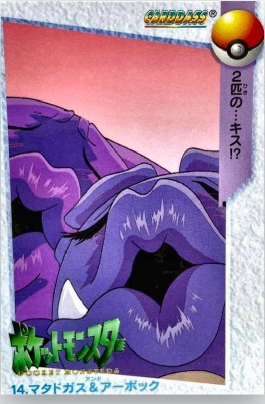 14 マタドガス&アーボック