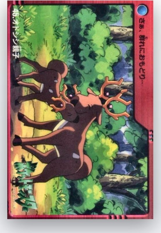 45 オドシシ親子