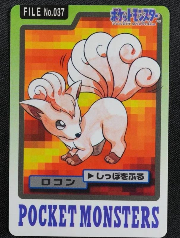037 ロコン