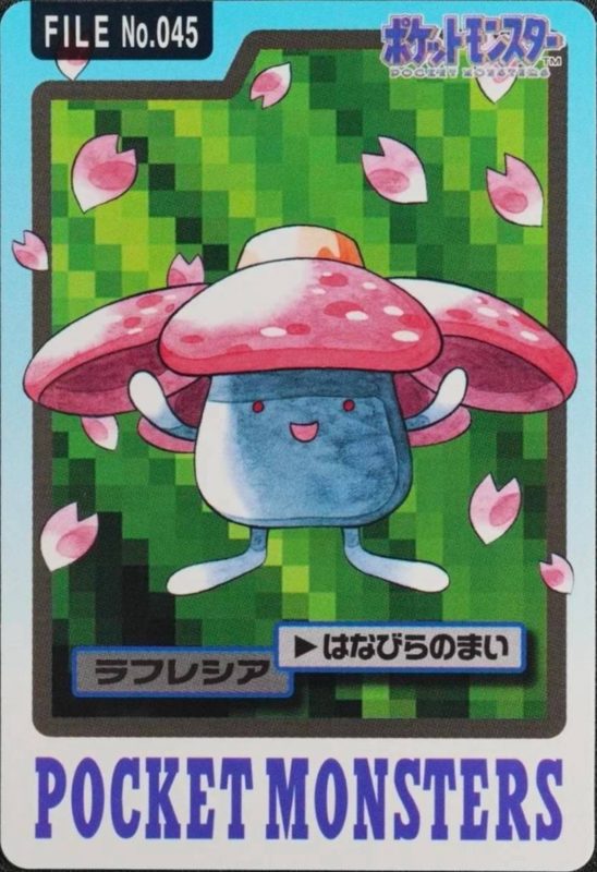 045 ラフレシア